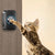 PAW PASS™ Pet Doorbell